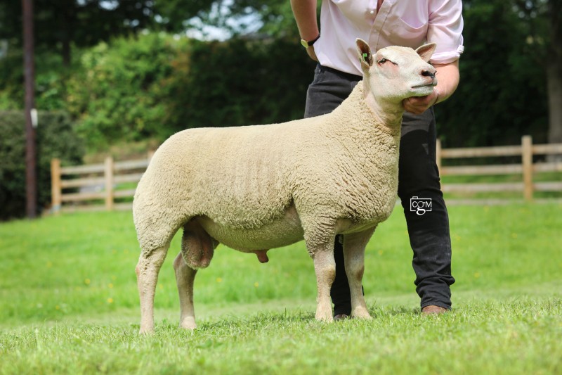 Edstaston All Bar One Edstaston All Bar One